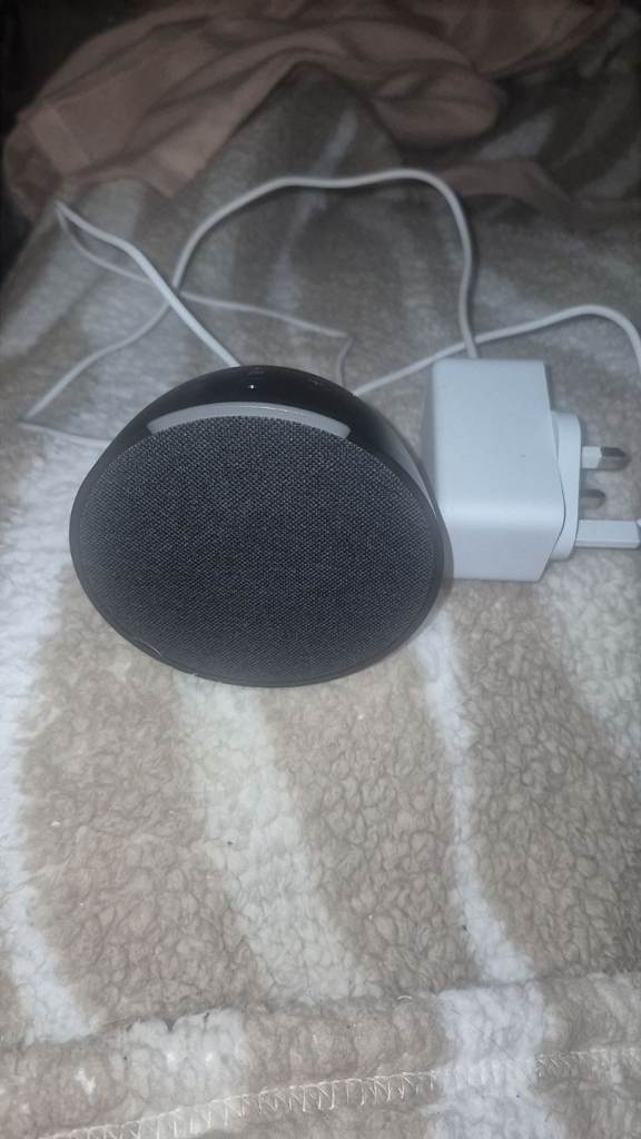 Alexa bluetooth speaker