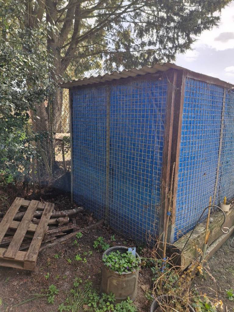 Outside metal dog run 