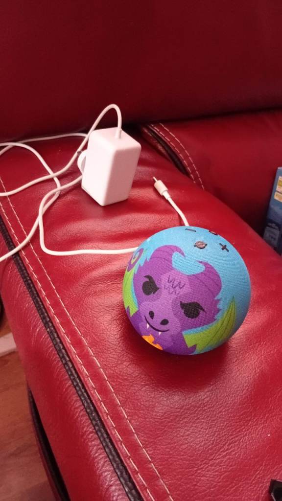 Amazon echo dot kids
