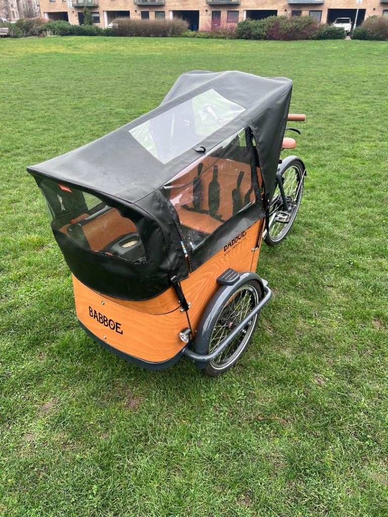 Babboe Curve Mountain Cargo Bike, Electric