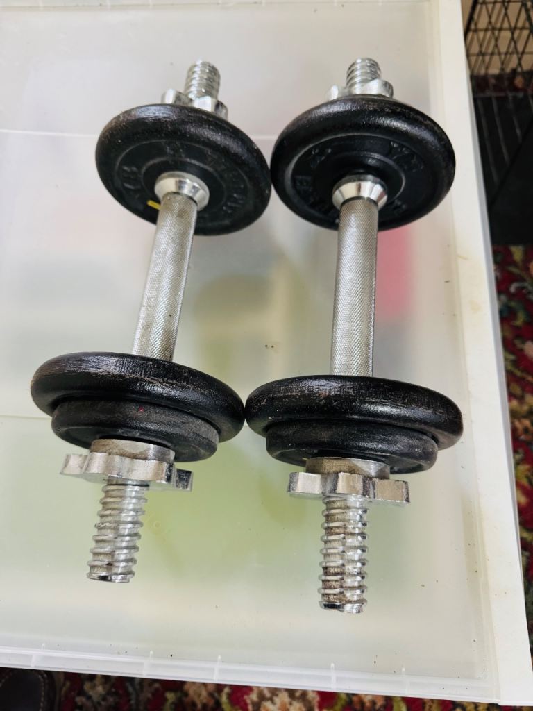 Barbell weights