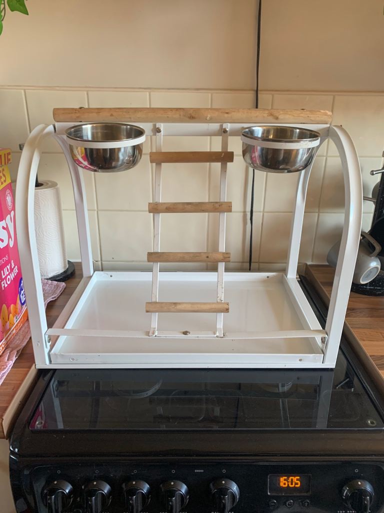 Parrot Stand