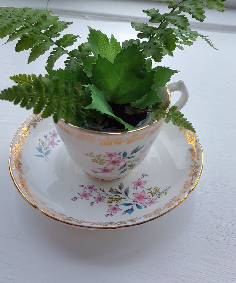 Valentine's quaint bone china vintage tea cup and saucer potted up with a fern and artificial leaves