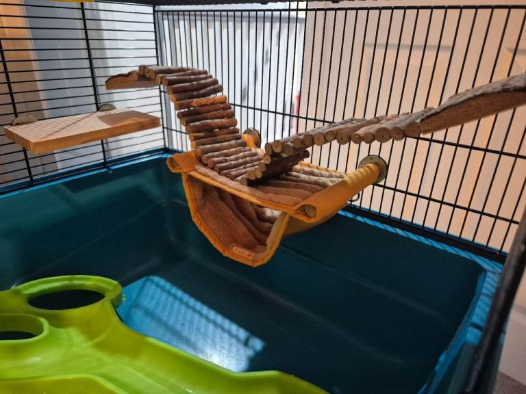 Hamster cage with accessories 