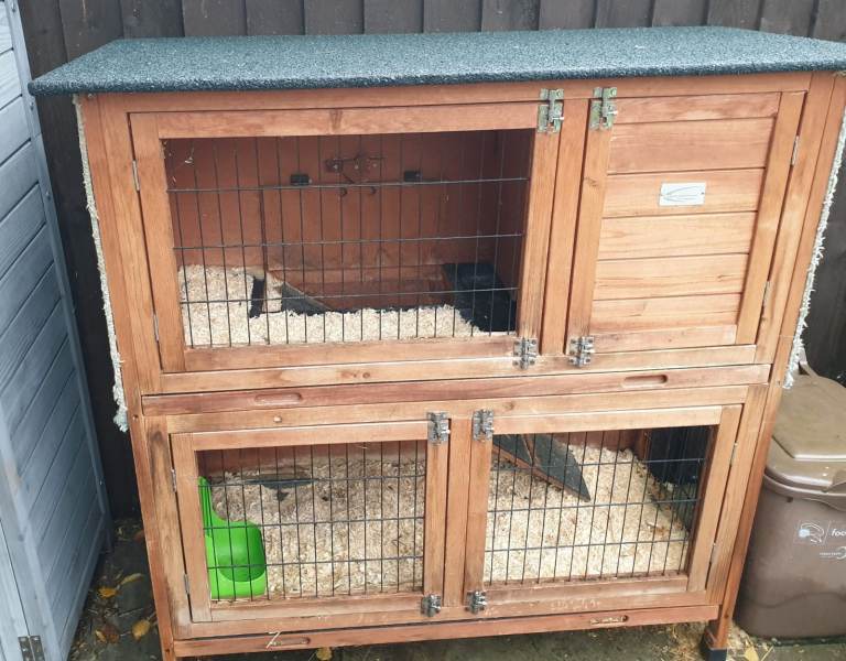 Guinea pig hutch and cover