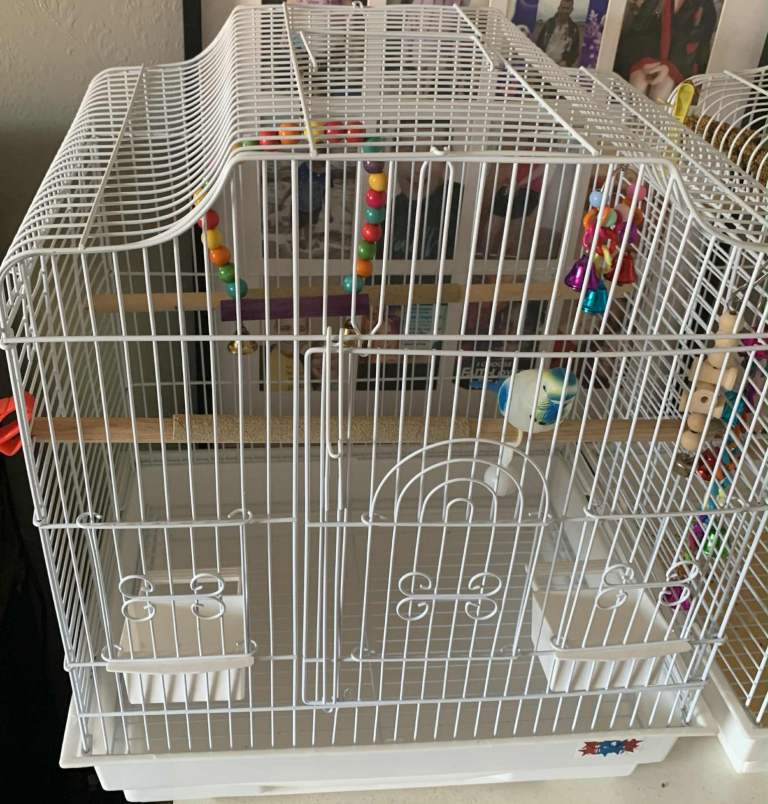 Budgie Cage