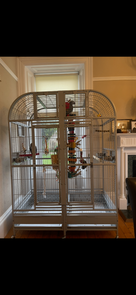Parrot cage