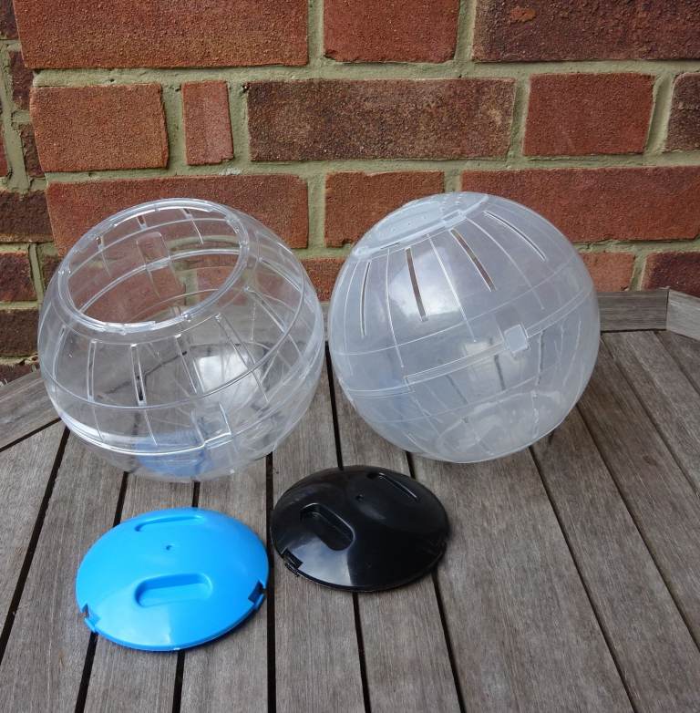 Hamster Exercise Balls, £2 each