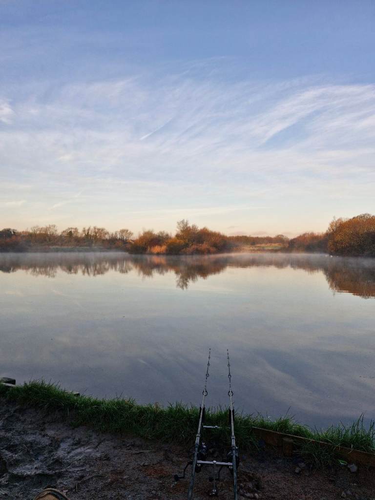 Full carp set up ( everything u need )