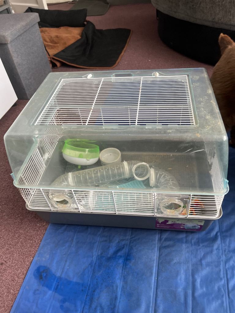 Hamster cage