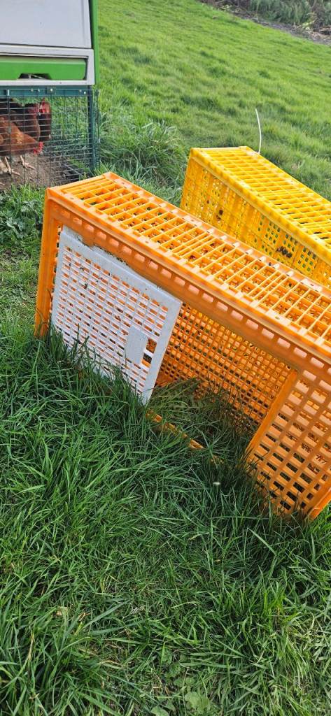 Large crate for poultry