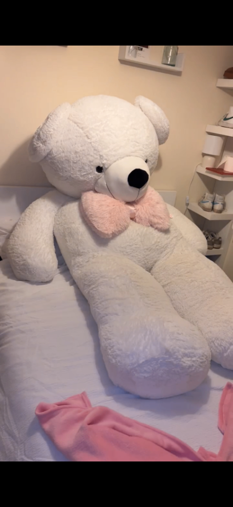Giant teddy bear 