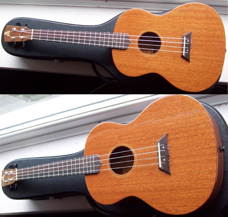 Ashbury AU-24B Baritone Ukulele.