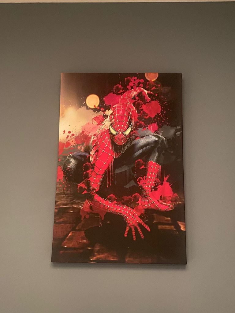 image for Spiderman Canvas