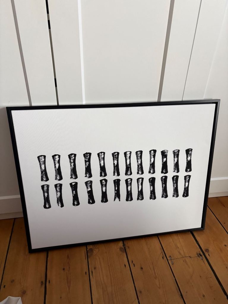 Framed canvas art