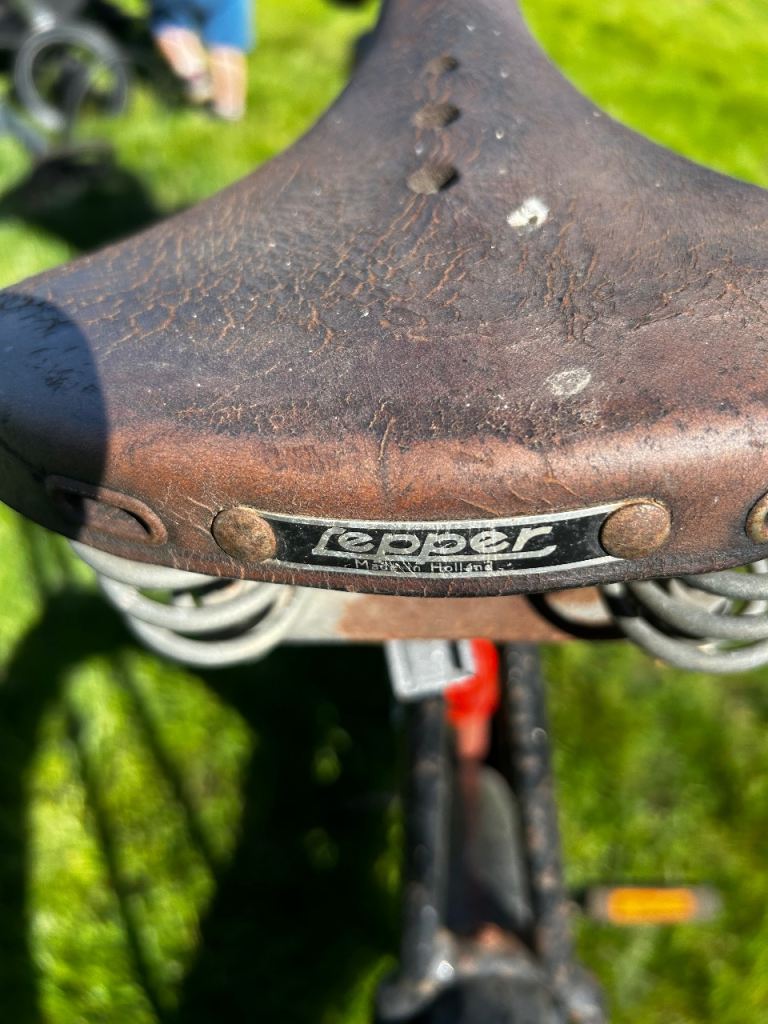 Pashley sovereign princess