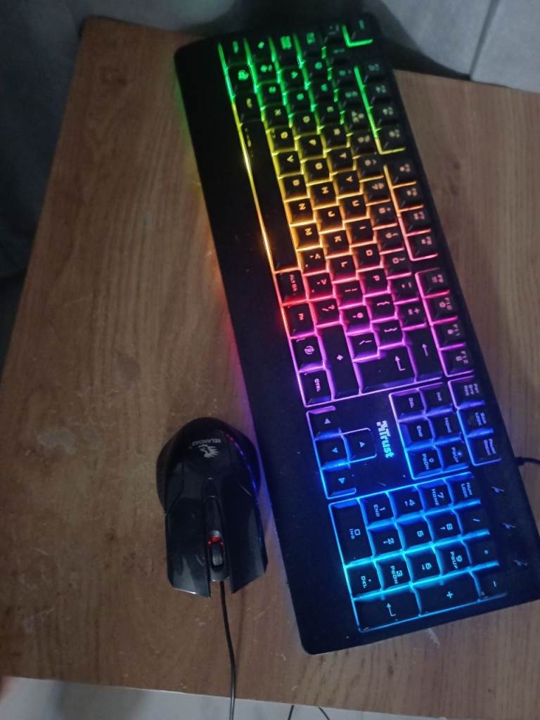 Got this keyboard and mouse very cheap