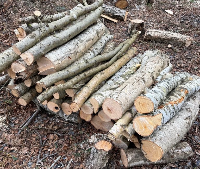 Logs for firewood in long lengths