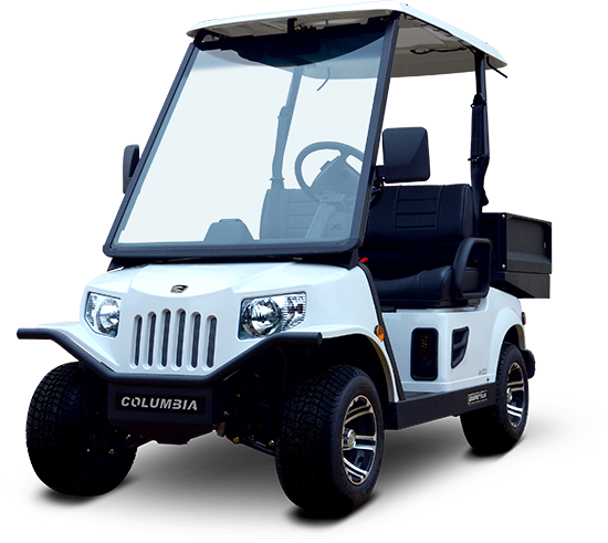 Tumbling two seater electric golf cart with lithium battery