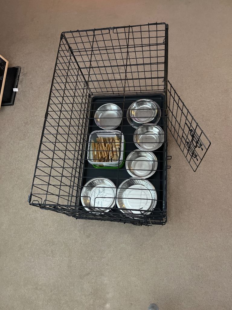 Pet crate bowls and raw hide chews 
