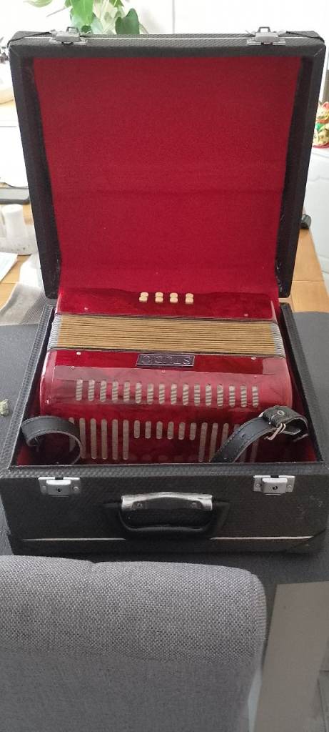 Red Accordion with Black Carry Case – Good Condition