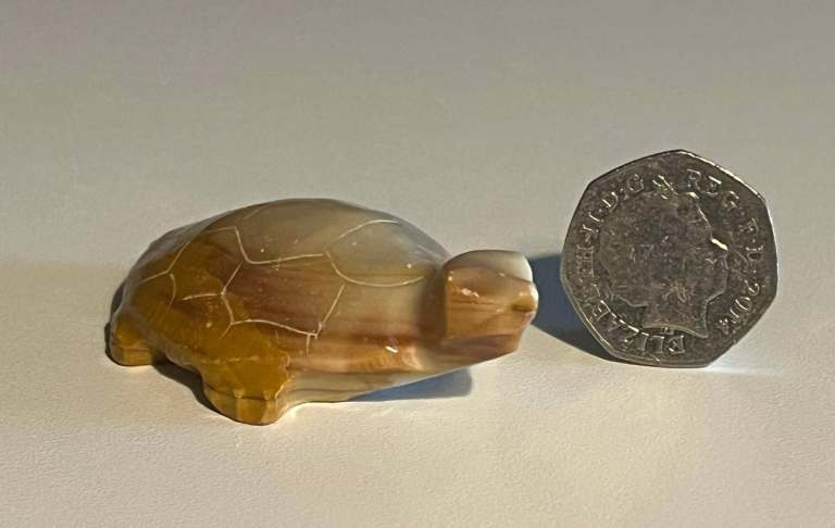 image for Oynx  / Marble Collectable Turtle