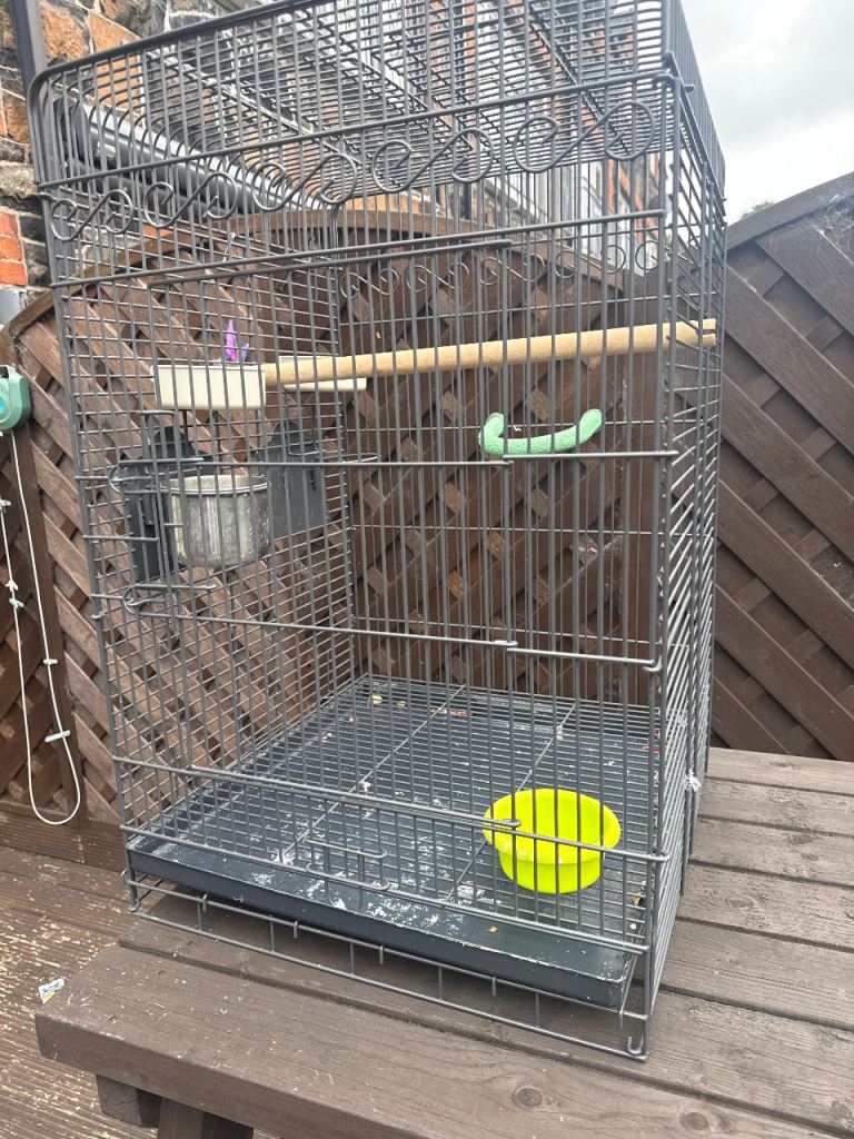 Parrot cage 