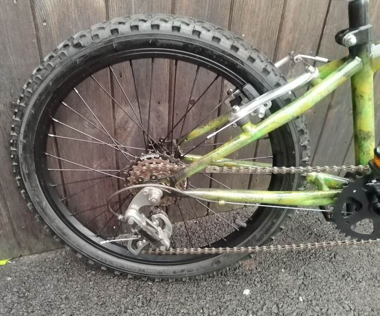 A fully reconditioned kids Raleigh mountain bike 20" wheels 