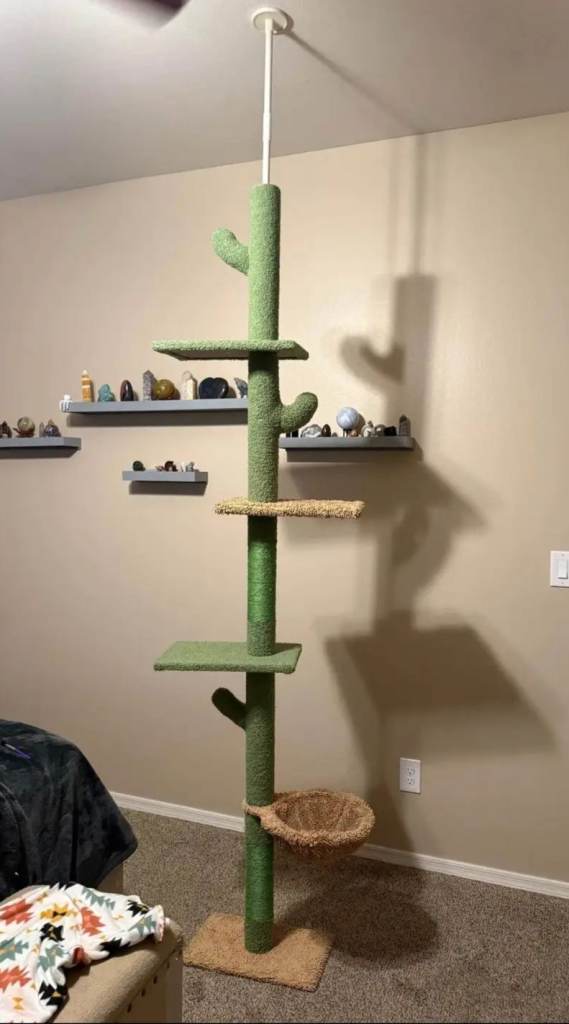 Large cactus scratching post