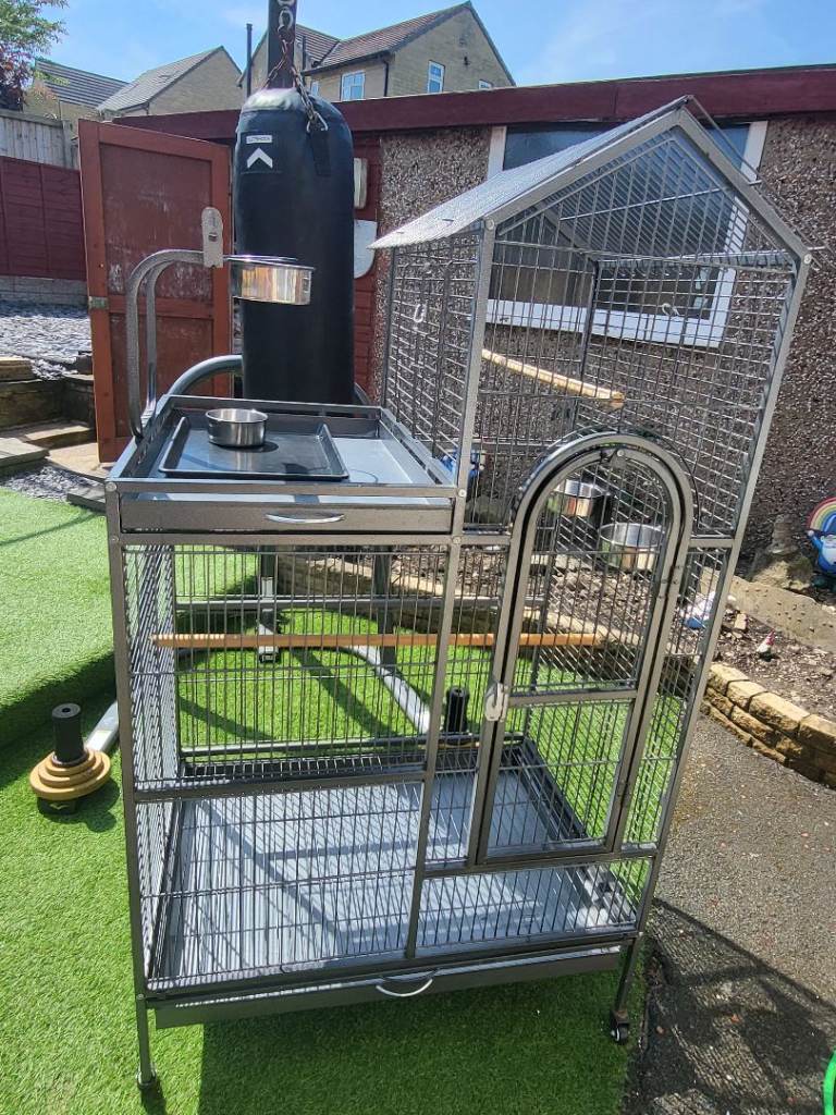 Large parrot cage indoors