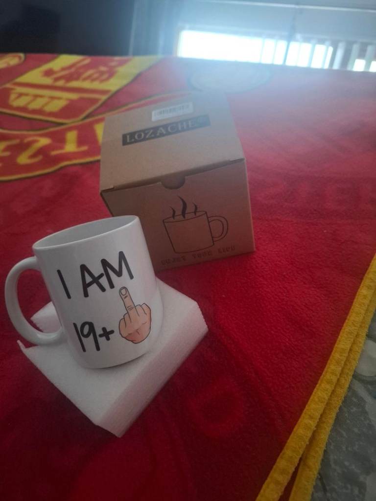New Ceramic Novelty Mug – 'I AM 19+' Design