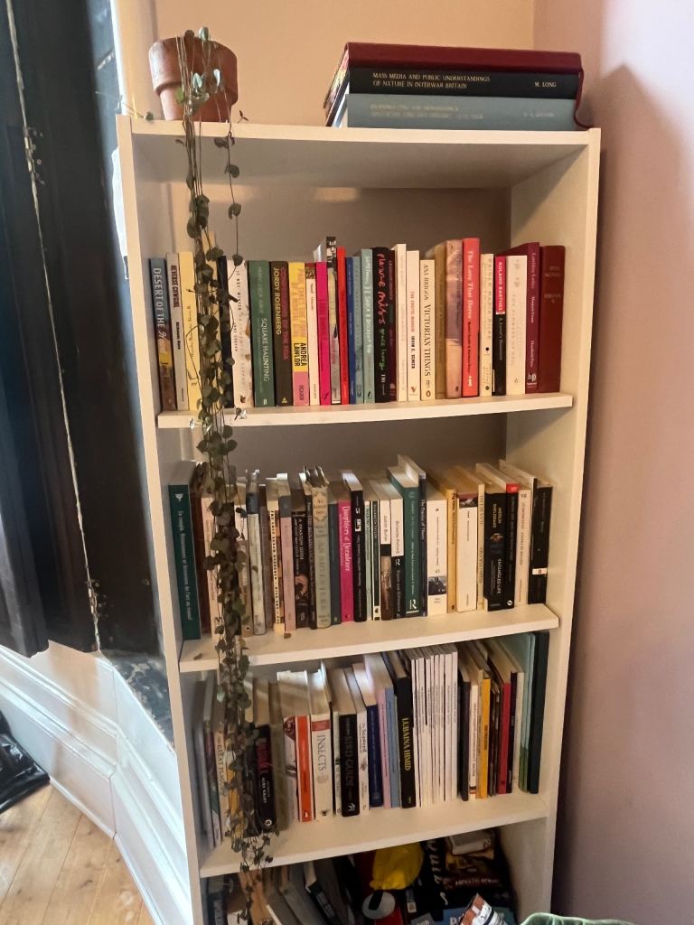 Ikea Billy bookcase