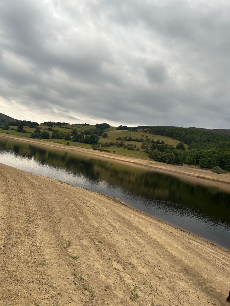 Road trip partner needed 