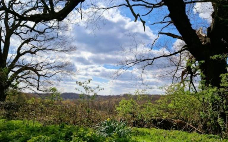 Wanted: Pet-friendly 1–2 bedroom rural cottage/house to rent