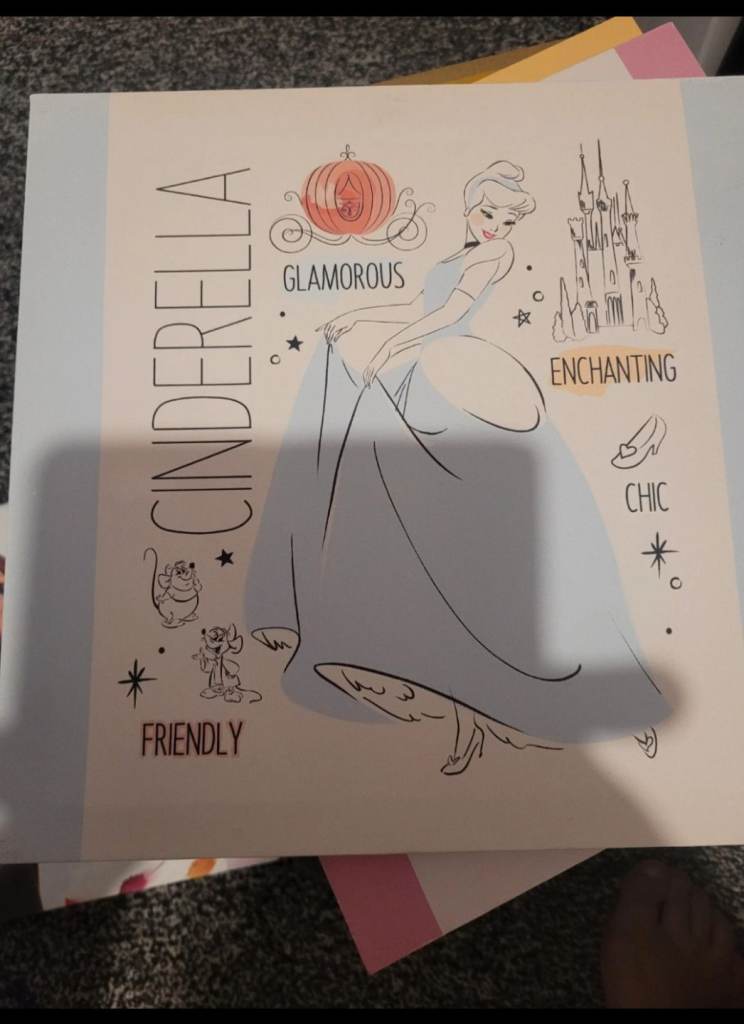 Disney princess canvas set 3 