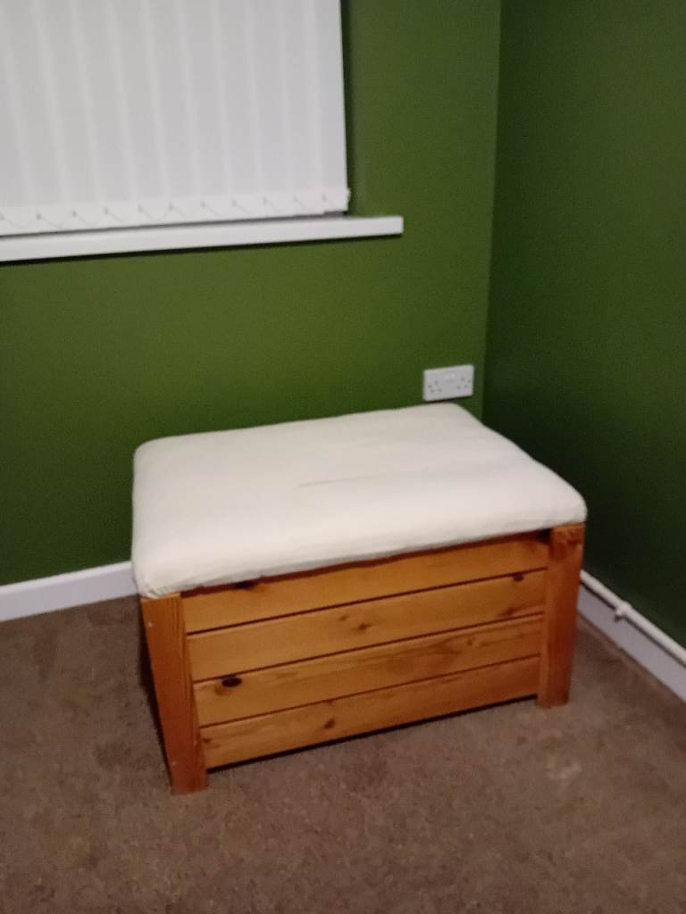 Padded storage seat/footstool