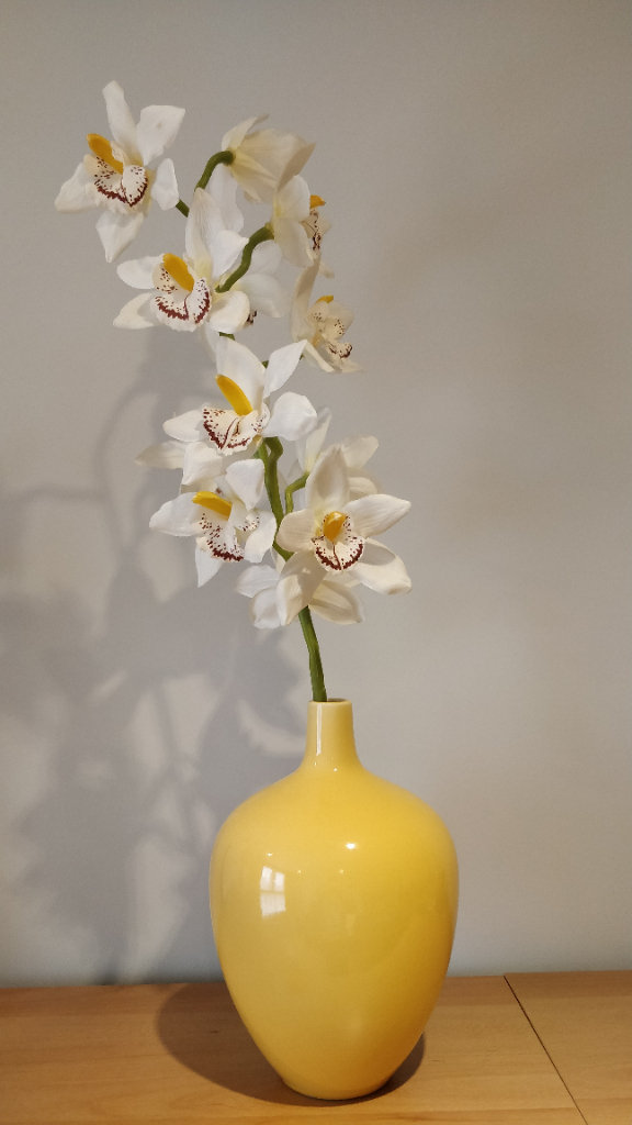 Vase with Orchid 