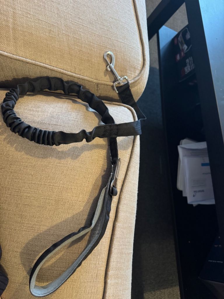 Black Dog Collar and Leash Set