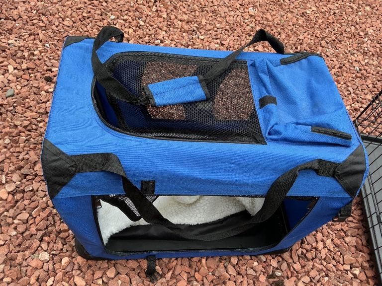 Pet carrier 
