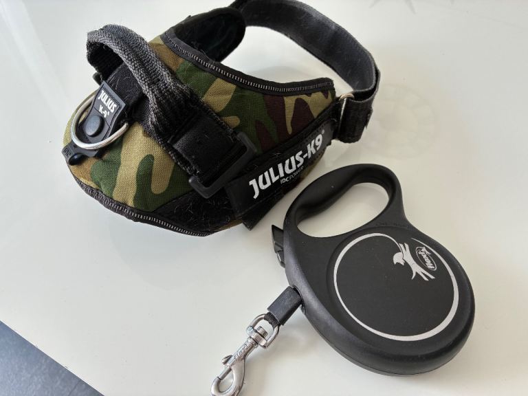 Dog harness & lead 