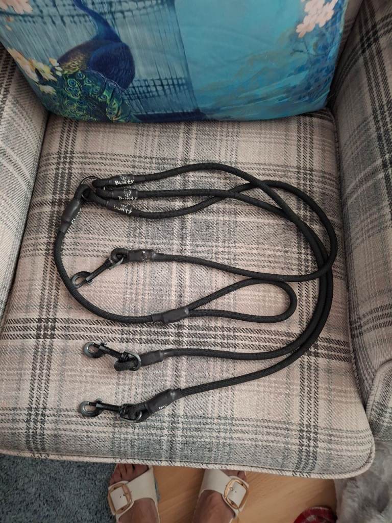 Three way dog lead.