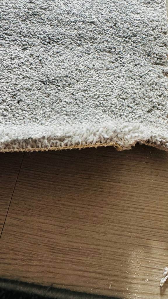 Brand New Carpet Remnant off-cut piece – Light Grey – 397 x 137cm