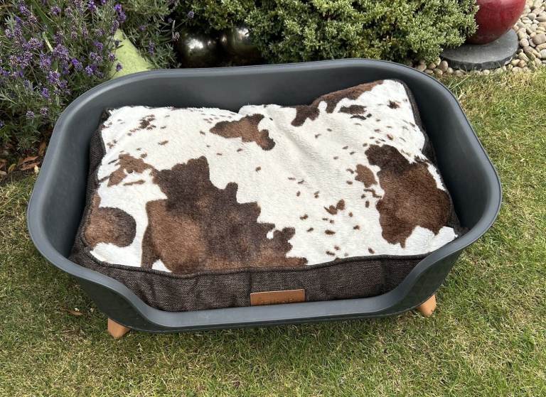 Dog Bed with Ellie Bo Mattress