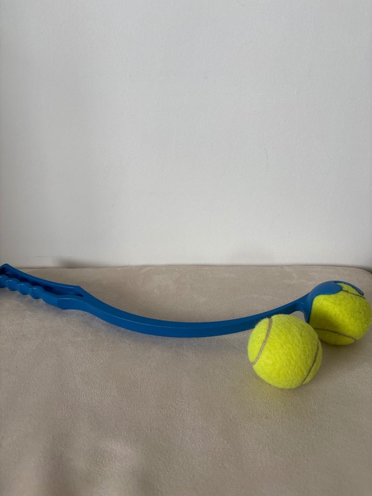 Dog toys 