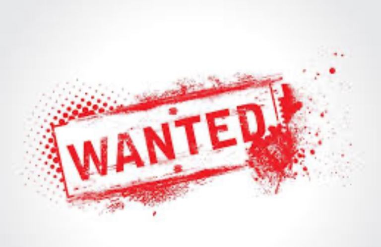 WANTED SITE POTENTIAL BUILD