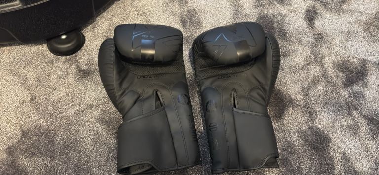 RDX boxing bag and gloves 