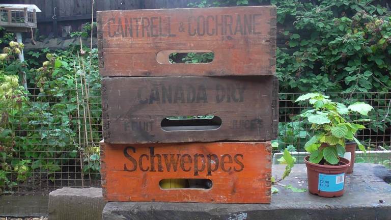 Schweppes Crates Wanted Wooden Bottle Boxes Canada Dry C & C etc Any number cash waiting