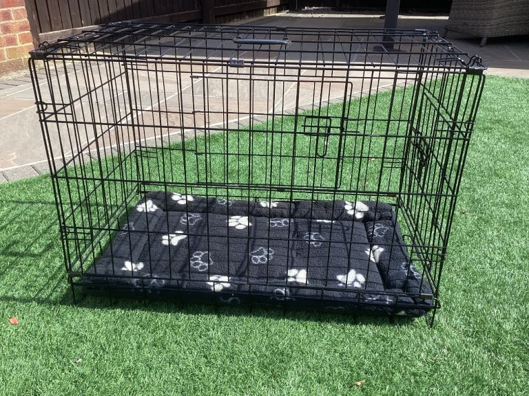 FREE - dog crate and mattress
