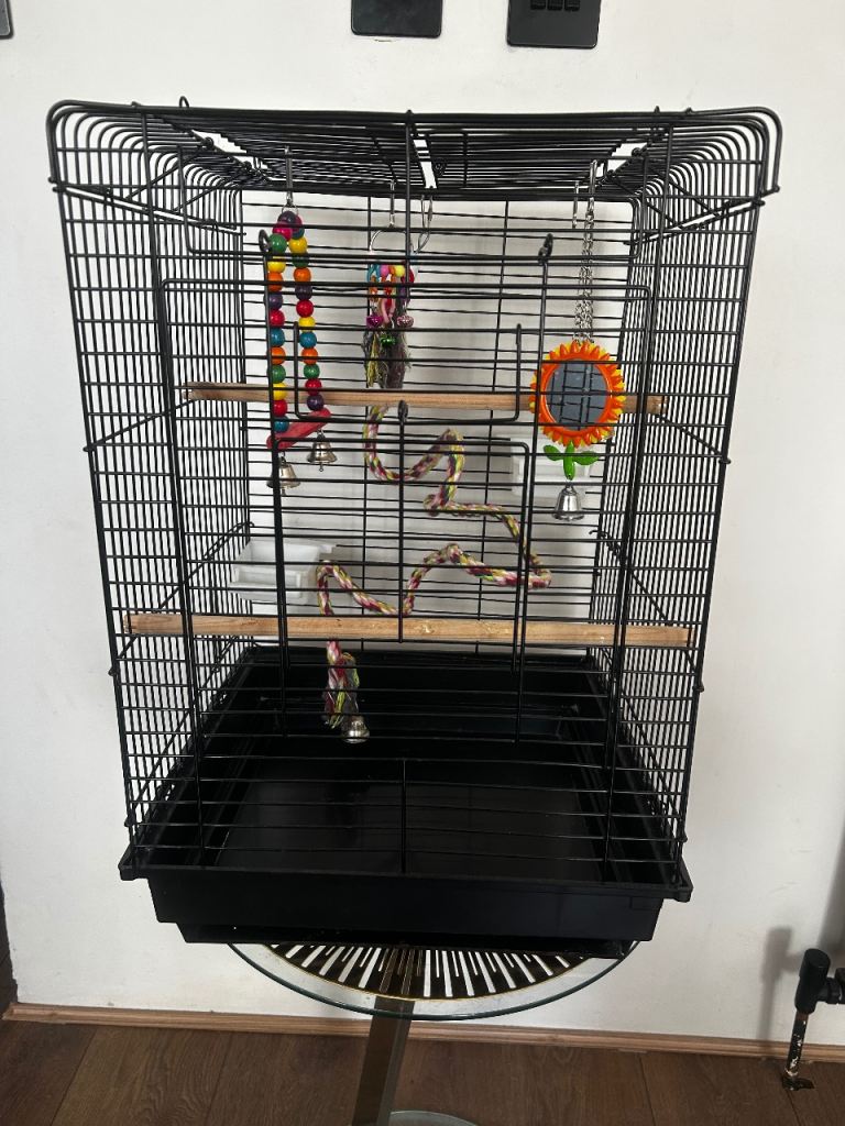 Black bird gate medium size 