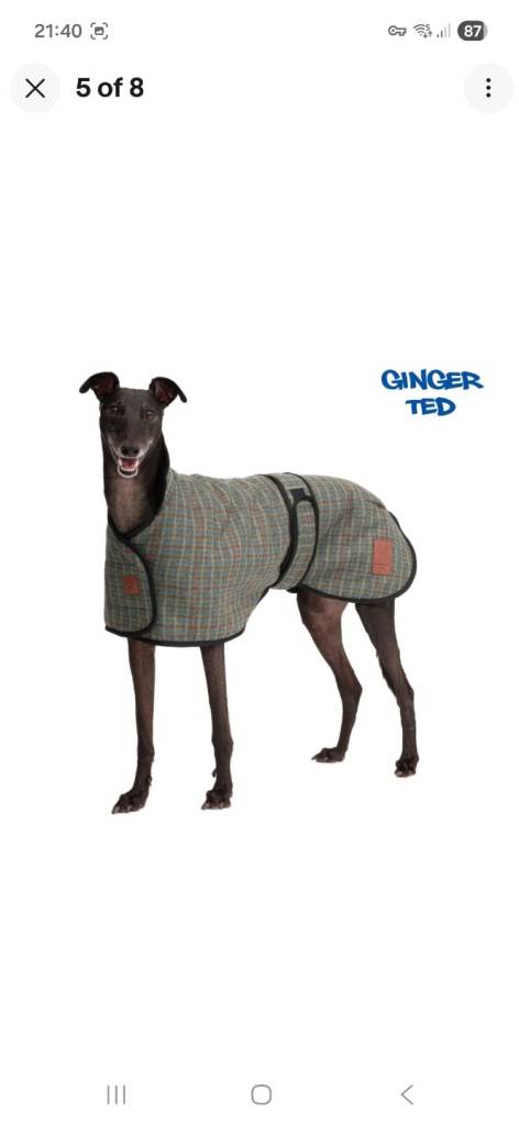 Ginger Ted Tweed Greyhound/Whippit coat, Teal Check New